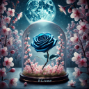 Elivea Avatar
